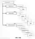Fig. 11 - Biometric control systems and associated methods of use