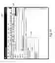 Fig. 12 - Generating and rendering electronic business cards