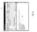 Fig. 13 - Generating and rendering electronic business cards