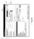 Fig. 19 - Generating and rendering electronic business cards