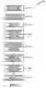Fig. 37 - Reporting of user equipment selected content delivery