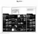 Fig. 17 - System and method for managing online record store