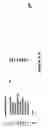 Fig. 12 - Method and apparatus for transacting legal documents