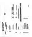 Fig. 13 - Method and apparatus for transacting legal documents
