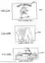 Fig. 17 - Image commercial transactions system and method, image transfer system and method, image distribution system and method, display device and method