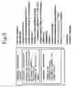 Fig. 04 - Personal information distribution management system, personal information distribution management method, personal information service program, and personal information utilization program