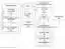 Fig. 01 - Unsupervised, automated web host dynamicity detection, dead link detection and prerequisite page discovery for search indexed web pages