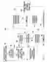 Fig. 06 - Byte-code representations of actual data to reduce network traffic in database transactions