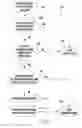 Fig. 08 - Byte-code representations of actual data to reduce network traffic in database transactions
