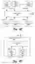 Fig. 06 - Extensible workflows