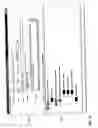 Fig. 17 - Runtime thresholds for behavior detection