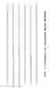 Fig. 03 - Optimized markup language processing using repeated structures in markup language source