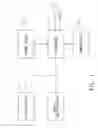 Fig. 02 - Method for capturing and browsing image data synchronously