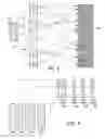 Fig. 06 - Atomic cache transactions in a distributed storage system