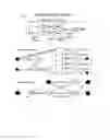 Fig. 05 - ARA type protograph codes