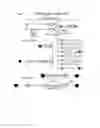 Fig. 06 - ARA type protograph codes