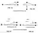 Fig. 10 - ARA type protograph codes