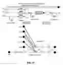 Fig. 18 - ARA type protograph codes