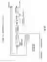 Fig. 28 - ARA type protograph codes