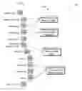 Fig. 01 - Template for rendering an electronic form