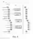 Fig. 06 - Template for rendering an electronic form
