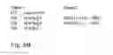 Fig. 11 - Straight-line post-increment optimization for memory access instructions