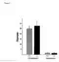 Fig. 04 - Modulation of osteoblast activity by fhl2