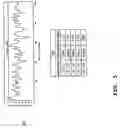 Fig. 04 - Compositions, organisms and methodologies employing a novel human kinase