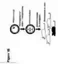 Fig. 03 - Tn5 transposase-mediated transgenesis