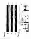Fig. 05 - Tn5 transposase-mediated transgenesis