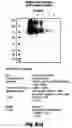 Fig. 53 - Novel haemopoietin receptor and genetic sequences encoding same
