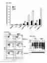 Fig. 10 - WIP, a WASP-associated protein