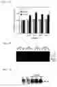 Fig. 02 - Therapeutic and diagnostic applications of prostatic acid phosphatase in prostate cancer
