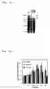 Fig. 07 - Therapeutic and diagnostic applications of prostatic acid phosphatase in prostate cancer