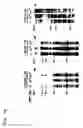 Fig. 10 - Therapeutic and diagnostic applications of prostatic acid phosphatase in prostate cancer