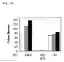 Fig. 15 - Therapeutic and diagnostic applications of prostatic acid phosphatase in prostate cancer