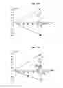 Fig. 10 - Method of breeding azalea