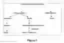 Fig. 02 - METHOD FOR PLANT TRANSFORMATION BASED ON THJE POLLINATION-FECUNDATION PATHWAY AND THE PRODUCTS THEREOF