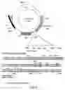 Fig. 07 - Isolated eIF-5A and polynucleotides encoding same