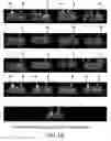 Fig. 20 - Isolated eIF-5A and polynucleotides encoding same