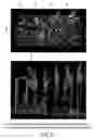 Fig. 22 - Isolated eIF-5A and polynucleotides encoding same