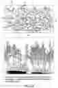 Fig. 24 - Isolated eIF-5A and polynucleotides encoding same