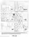 Fig. 30 - Isolated eIF-5A and polynucleotides encoding same
