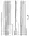 Fig. 43 - Isolated eIF-5A and polynucleotides encoding same