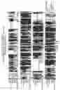 Fig. 50 - Isolated eIF-5A and polynucleotides encoding same