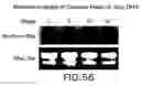Fig. 59 - Isolated eIF-5A and polynucleotides encoding same