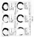 Fig. 76 - Isolated eIF-5A and polynucleotides encoding same