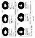 Fig. 80 - Isolated eIF-5A and polynucleotides encoding same