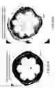 Fig. 95 - Isolated eIF-5A and polynucleotides encoding same