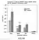 Fig. 97 - Isolated eIF-5A and polynucleotides encoding same